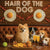 Hair of the Dog Pomeranian 004 Ruff & Ready Funny Canine Art neon lights, bacon-woven flair, and egg murals
