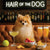 Hair of the Dog Pomeranian 007 Ruff & Ready Funny Canine Art neon lights, bacon-woven flair, and egg murals