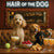 Hair of the Dog Poodle 002 Ruff & Ready Funny Canine Art neon lights, bacon-woven flair, and egg murals