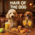 Hair of the Dog Poodle 008 Ruff & Ready Funny Canine Art neon lights, bacon-woven flair, and egg murals
