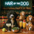 Hair of the Dog Portuguese Water Dog 010 Ruff & Ready Funny Canine Art neon lights, bacon-woven flair, and egg murals