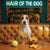 Hair of the Dog Russell Terrier 014 Ruff & Ready Funny Canine Art neon lights, bacon-woven flair, and egg murals