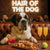 Hair of the Dog Saint Bernard 006 Ruff & Ready Funny Canine Art neon lights, bacon-woven flair, and egg murals