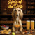 Hair of the Dog Saluki 002 Ruff & Ready Funny Canine Art neon lights, bacon-woven flair, and egg murals