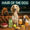 Hair of the Dog Saluki 009 Ruff & Ready Funny Canine Art neon lights, bacon-woven flair, and egg murals