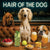 Hair of the Dog Saluki 009 Ruff & Ready Funny Canine Art neon lights, bacon-woven flair, and egg murals