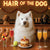 Hair of the Dog Samoyed 008 Ruff & Ready Funny Canine Art neon lights, bacon-woven flair, and egg murals