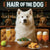 Hair of the Dog Samoyed 011 Ruff & Ready Funny Canine Art neon lights, bacon-woven flair, and egg murals