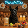 Hair of the Dog Scottish Terrier 010 Ruff & Ready Funny Canine Art neon lights, bacon-woven flair, and egg murals