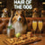 Hair of the Dog Shetland Sheepdog 006 Ruff & Ready Funny Canine Art neon lights, bacon-woven flair, and egg murals