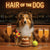 Hair of the Dog Shetland Sheepdog 014 Ruff & Ready Funny Canine Art neon lights, bacon-woven flair, and egg murals