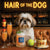 Hair of the Dog Shih Tzu 008 Ruff & Ready Funny Canine Art neon lights, bacon-woven flair, and egg murals
