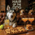 Hair of the Dog Siberian Husky 003 Ruff & Ready Funny Canine Art neon lights, bacon-woven flair, and egg murals