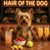 Hair of the Dog Silky Terrier 007 Ruff & Ready Funny Canine Art neon lights, bacon-woven flair, and egg murals