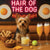 Hair of the Dog Silky Terrier 011 Ruff & Ready Funny Canine Art neon lights, bacon-woven flair, and egg murals