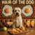 Hair of the Dog Soft Coated Wheaten Terrier 007 Ruff & Ready Funny Canine Art neon lights, bacon-woven flair, and egg murals