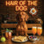 Hair of the Dog Vizsla 004 Ruff & Ready Funny Canine Art neon lights, bacon-woven flair, and egg murals