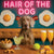 Hair of the Dog Weimaraner 001 Ruff & Ready Funny Canine Art neon lights, bacon-woven flair, and egg murals