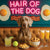 Hair of the Dog Weimaraner 008 Ruff & Ready Funny Canine Art neon lights, bacon-woven flair, and egg murals
