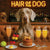 Hair of the Dog Weimaraner 012 Ruff & Ready Funny Canine Art neon lights, bacon-woven flair, and egg murals