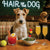 Hair of the Dog Wire Fox Terrier 005 Ruff & Ready Funny Canine Art neon lights, bacon-woven flair, and egg murals