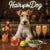 Hair of the Dog Wire Fox Terrier 008 Ruff & Ready Funny Canine Art neon lights, bacon-woven flair, and egg murals