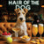 Hair of the Dog Wire Fox Terrier 010 Ruff & Ready Funny Canine Art neon lights, bacon-woven flair, and egg murals