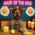 Hair of the Dog Wirehaired Pointing Griffon 012 Ruff & Ready Funny Canine Art neon lights, bacon-woven flair, and egg murals