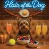 Hair of the Dog Yorkshire Terrier 002 Ruff & Ready Funny Canine Art neon lights, bacon-woven flair, and egg murals