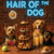 Hair of the Dog Yorkshire Terrier 006 Ruff & Ready Funny Canine Art neon lights, bacon-woven flair, and egg murals
