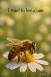 I want to bee alone humorous bee solitary flower metal print