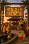Camels sipping tropical cocktails at a humorous desert bar titled Tanked in the Sahara