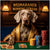 weimaraner wearing gold vest and champion medal at poker table with stacks of red 50 woofs blue 10 bones and yellow 5 snifes poker chips under a Weimaraner Winning Streak sign
